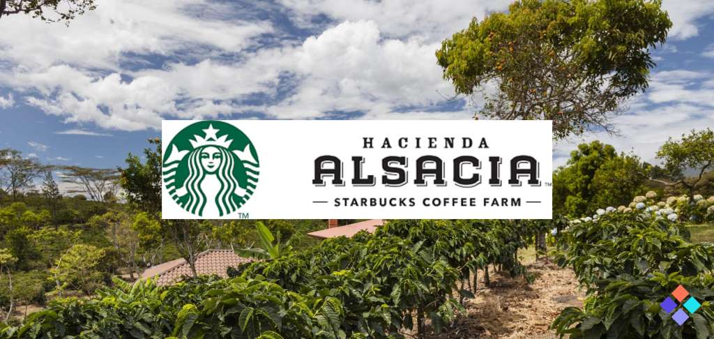 Starbucks Rewards Top Odyssey NFT Holders with Costa Rica Trip